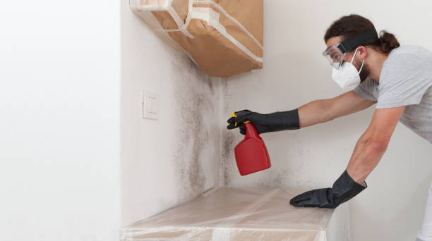 Professional Bathroom Mold Removal technician working in Medford, OR