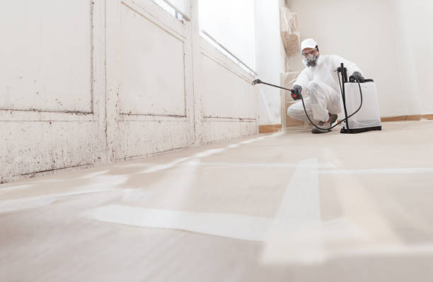 24/7 Emergency Bathroom Mold Removal experts in Medford, OR